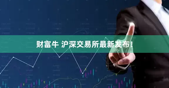 财富牛 沪深交易所最新发布！